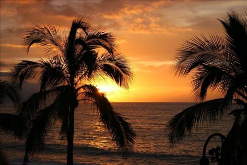 Tropical sunset